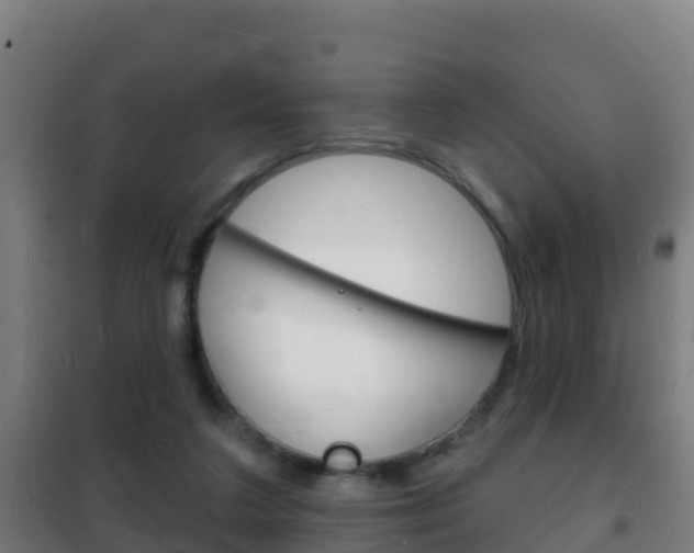 X0000102230211200807250817