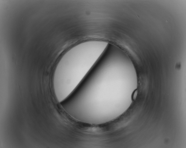 X0000102230212200807250817