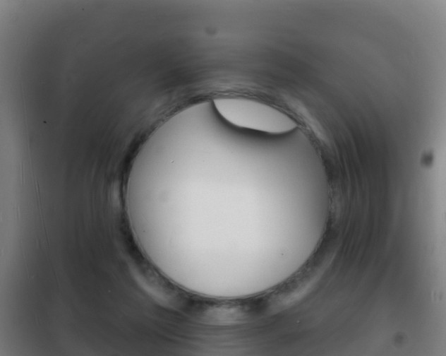 X0000102230213200807250817