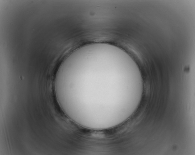 X0000102230214200807250817
