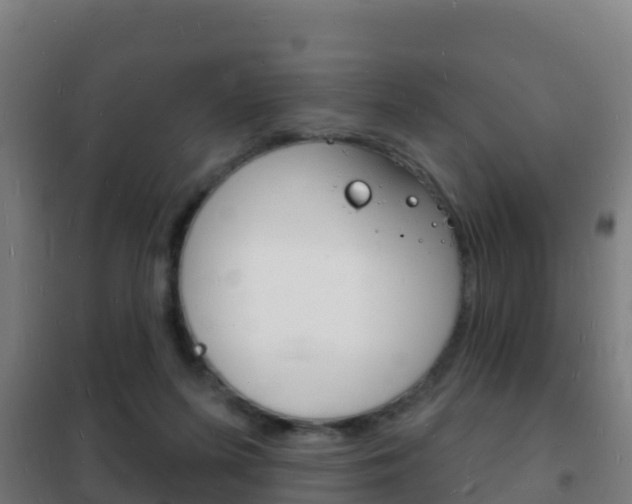 X0000102230215200807250817