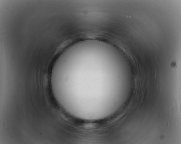 X0000102230216200807250817