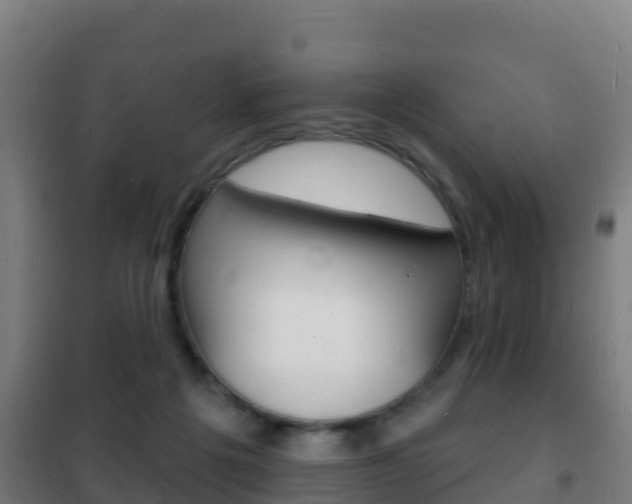X0000102230217200807250817