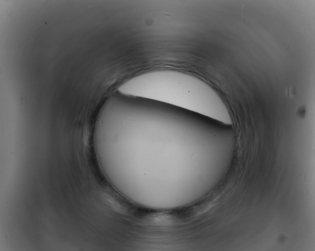 X0000102230219200807250817