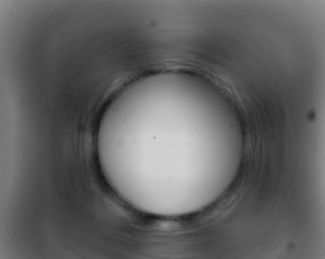 X0000102230220200807250817