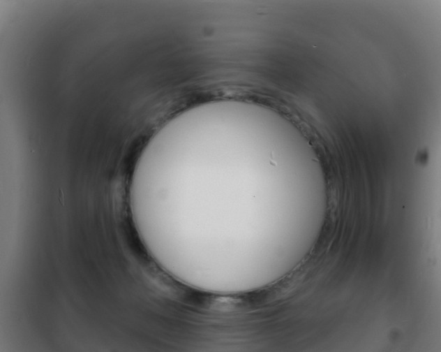X0000102230222200807250817