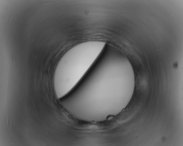 X0000102230224200807250817