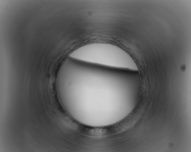 X0000102230225200807250817