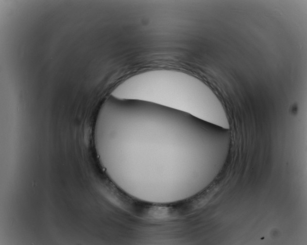 X0000102230227200807250817