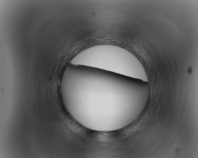 X0000102230229200807250817