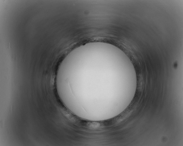 X0000102230230200807250817