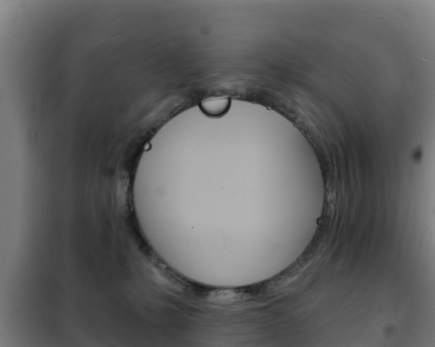 X0000102230231200807250817