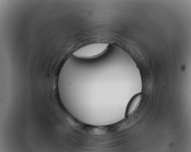 X0000102230232200807250817