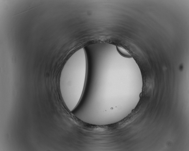X0000102230236200807250817