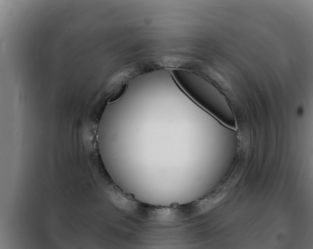 X0000102230237200807250817