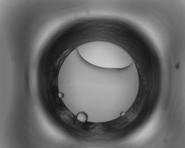 X0000102230239200807250817