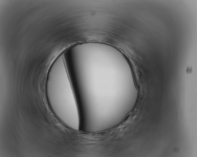 X0000102230241200807250816