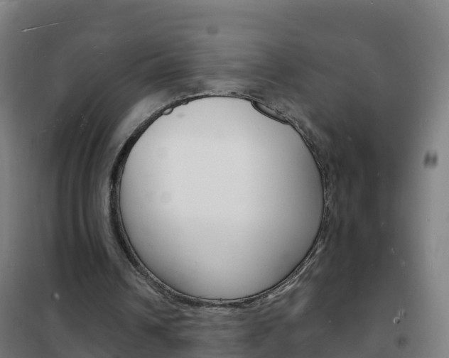 X0000102230242200807250816