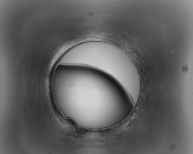 X0000102230244200807250816