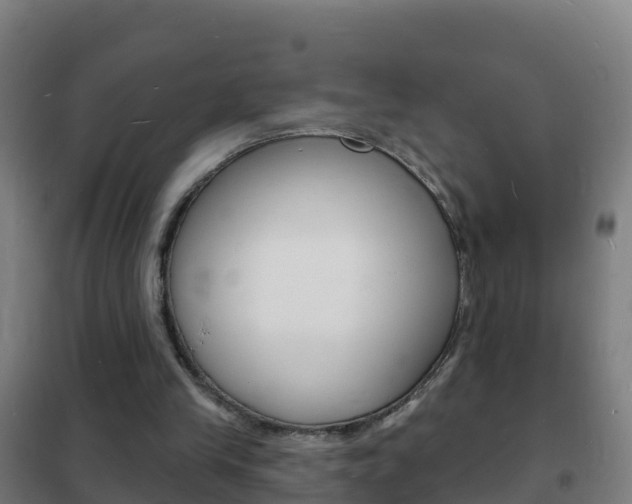X0000102230245200807250816