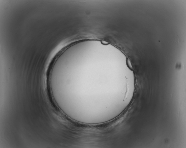X0000102230246200807250816