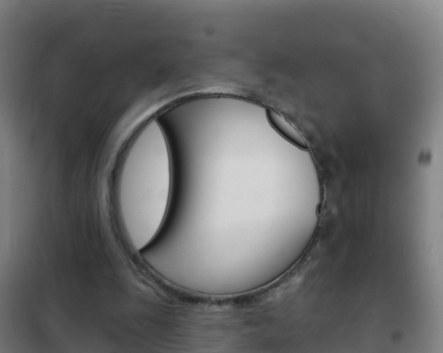 X0000102230247200807250816