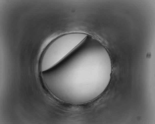 X0000102230248200807250816