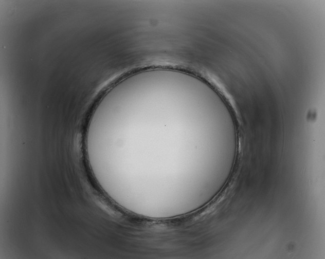 X0000102230249200807250816