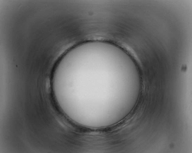 X0000102230251200807250816