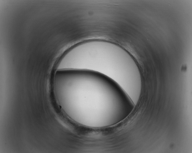 X0000102230252200807250816