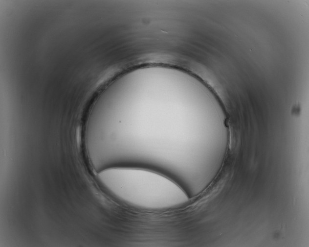 X0000102230253200807250816