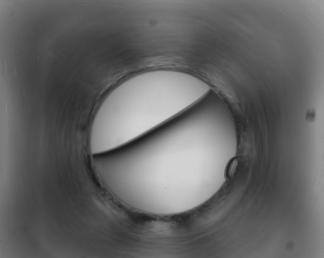 X0000102230255200807250816