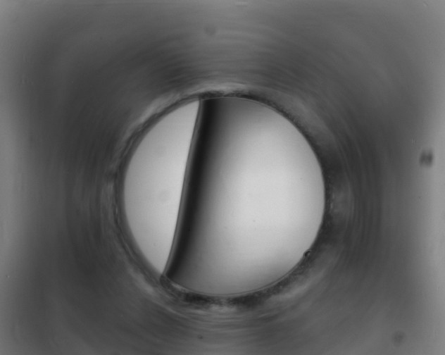 X0000102230256200807250816