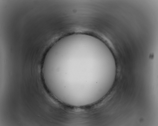 X0000102230257200807250816