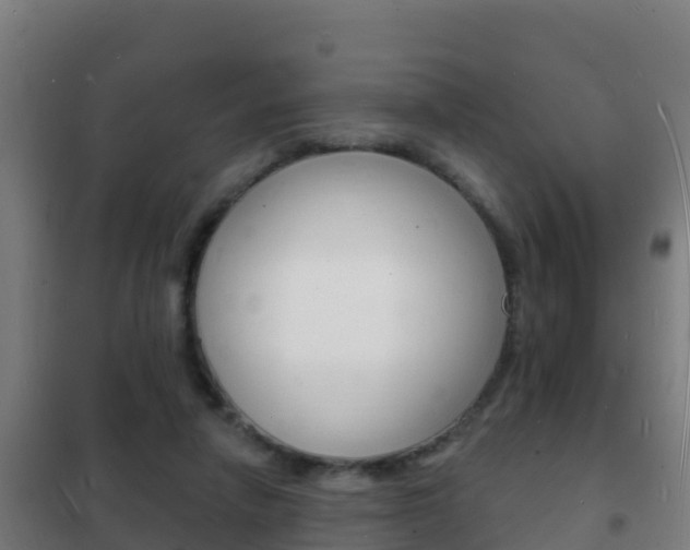 X0000102230258200807250816