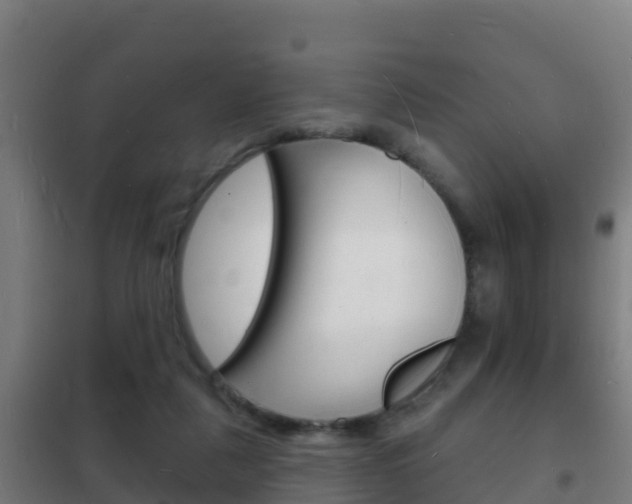 X0000102230259200807250816