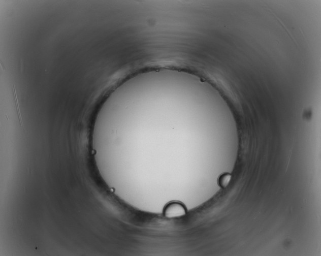 X0000102230260200807250816
