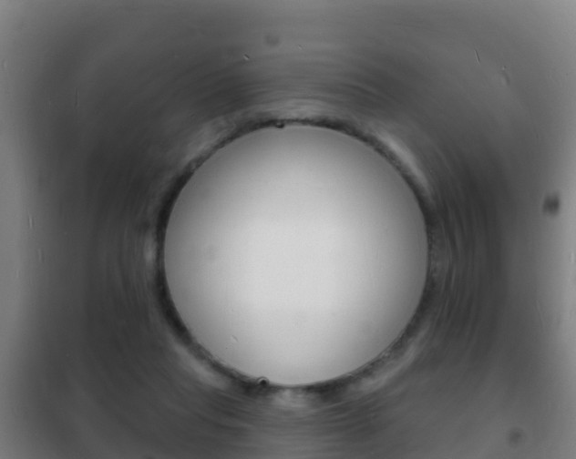 X0000102230261200807250816