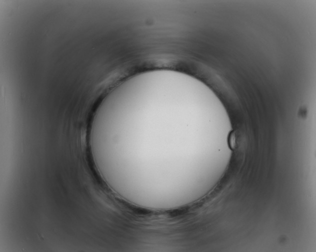 X0000102230262200807250817