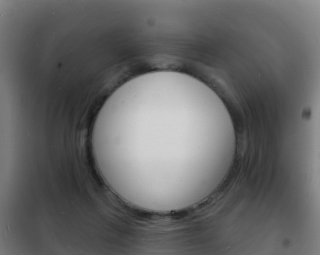 X0000102230263200807250817