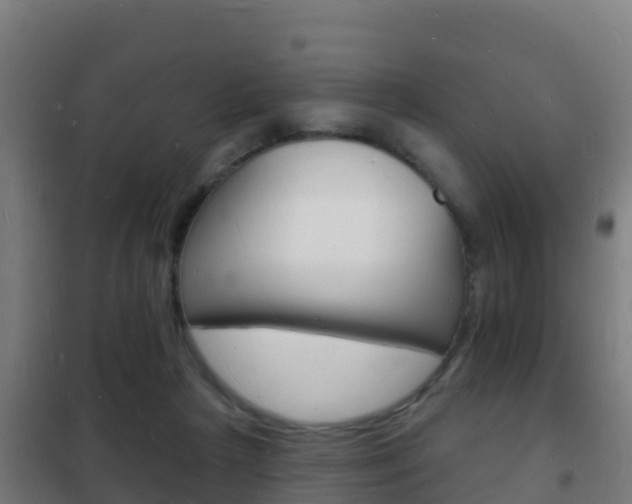 X0000102230265200807250817
