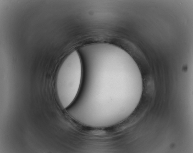 X0000102230266200807250817