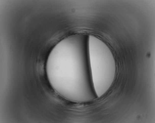 X0000102230267200807250817