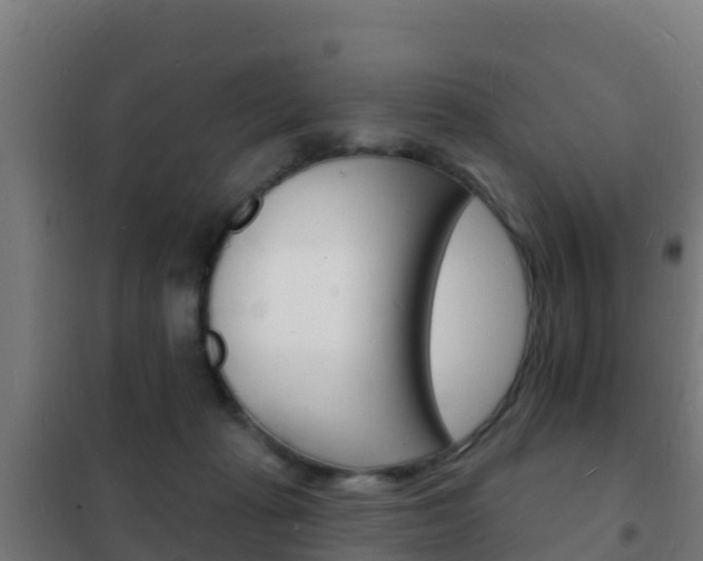 X0000102230269200807250817