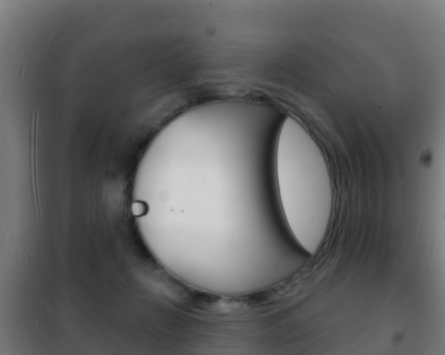 X0000102230270200807250817