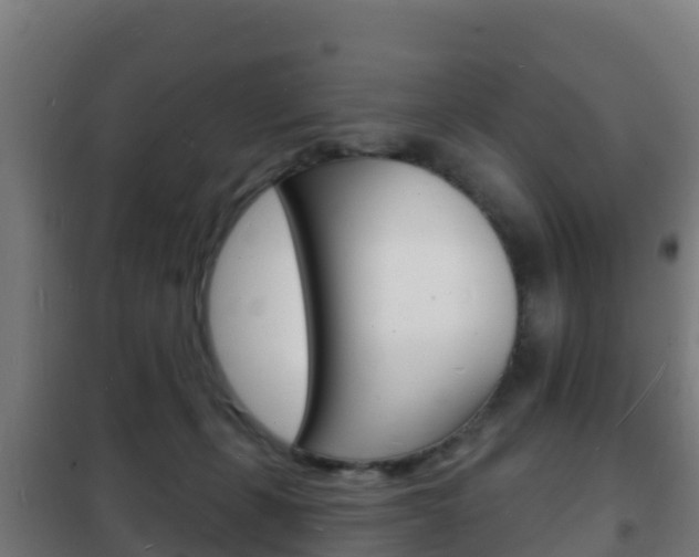 X0000102230271200807250817