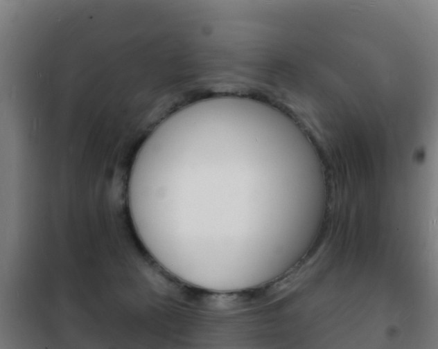 X0000102230273200807250817
