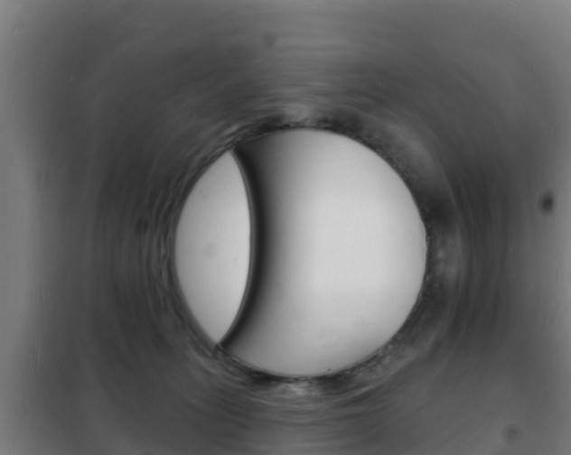 X0000102230275200807250817