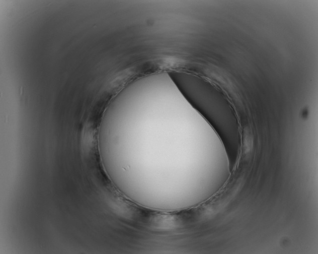 X0000102230276200807250817