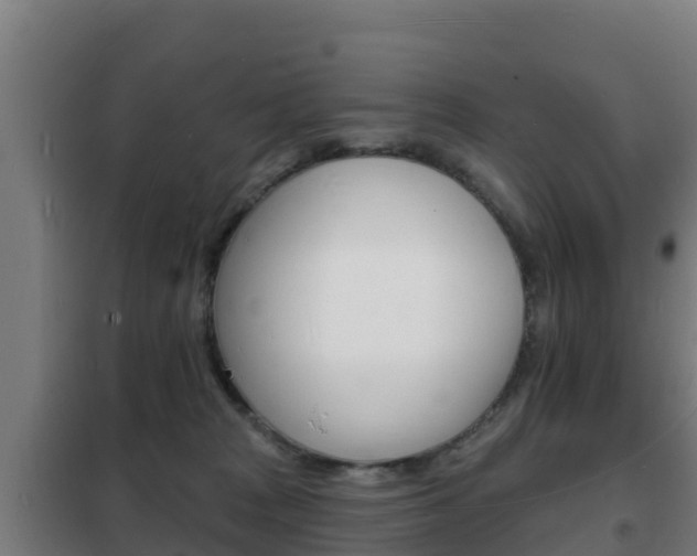 X0000102230277200807250817